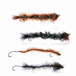 A.Jensen børsteorme fluer til kysten 4 stk